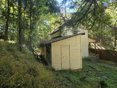 302 Harpertown Road Elkins WV 26241