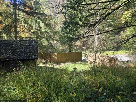 302 Harpertown Road Elkins WV 26241
