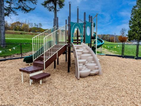 395 Woodbine Drive Terra Alta WV 26764