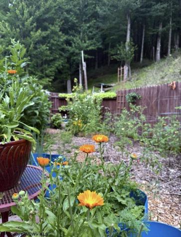 722 Valley Falls Road Fairmont WV 26554-9999