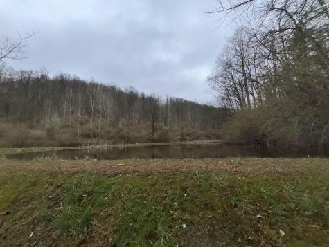 1058 Bean Hollow West Union WV 26456
