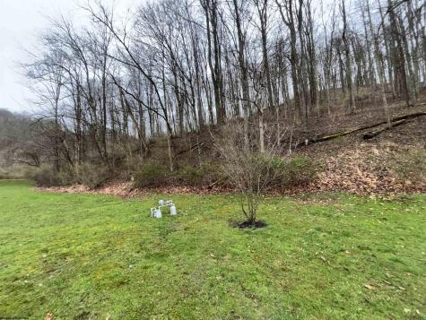1058 Bean Hollow West Union WV 26456
