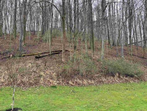 1058 Bean Hollow West Union WV 26456