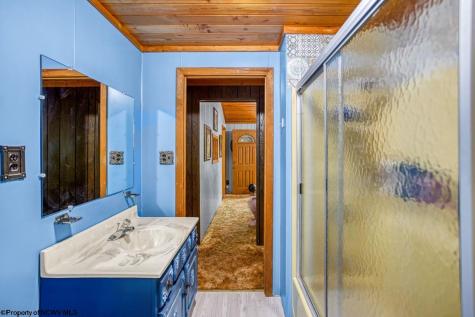 264 Primrose Lane Terra Alta WV 26764