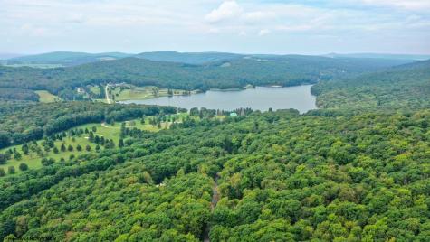 264 Primrose Lane Terra Alta WV 26764