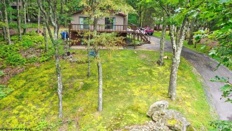 264 Primrose Lane Terra Alta WV 26764