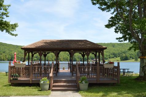 264 Primrose Lane Terra Alta WV 26764