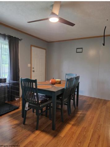 28 Cedar Meadows Circle Reedsville WV 26547