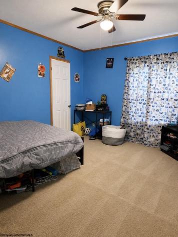28 Cedar Meadows Circle Reedsville WV 26547