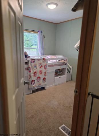 28 Cedar Meadows Circle Reedsville WV 26547