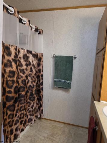 28 Cedar Meadows Circle Reedsville WV 26547