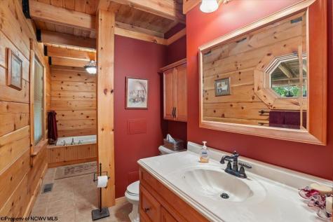 195 Bobcat Road Davis WV 26260