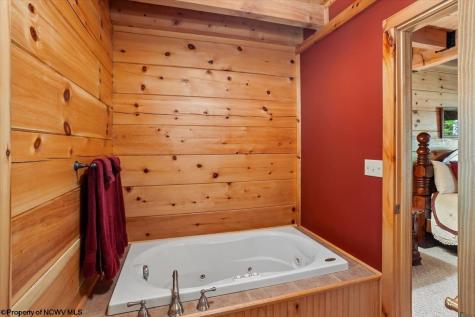 195 Bobcat Road Davis WV 26260