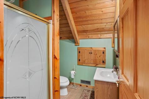 195 Bobcat Road Davis WV 26260