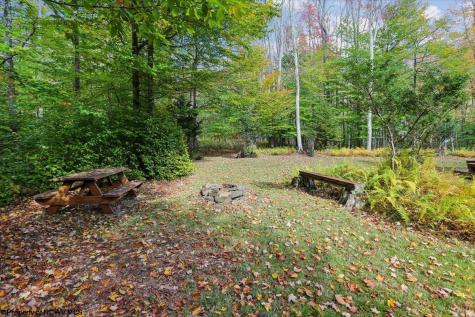 195 Bobcat Road Davis WV 26260