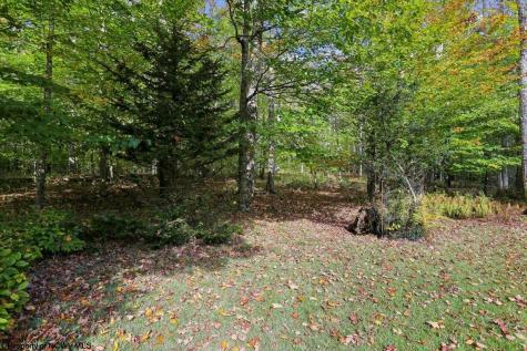 195 Bobcat Road Davis WV 26260