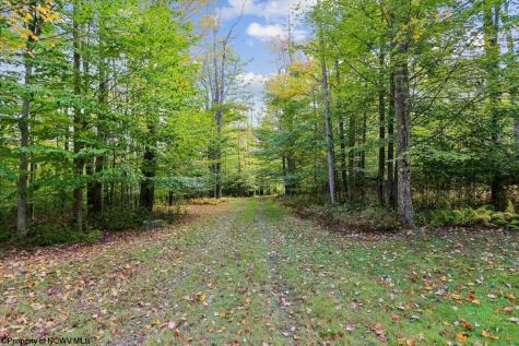 195 Bobcat Road Davis WV 26260