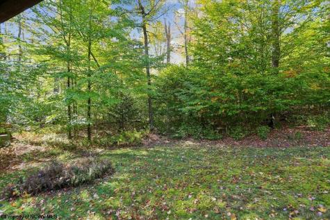 195 Bobcat Road Davis WV 26260