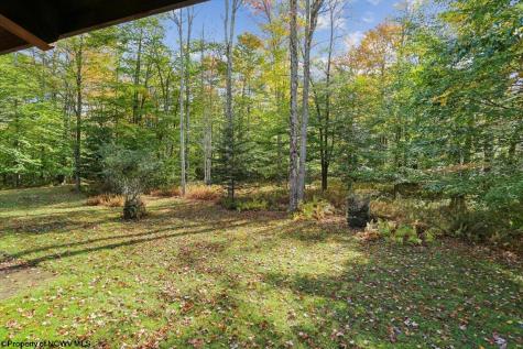 195 Bobcat Road Davis WV 26260