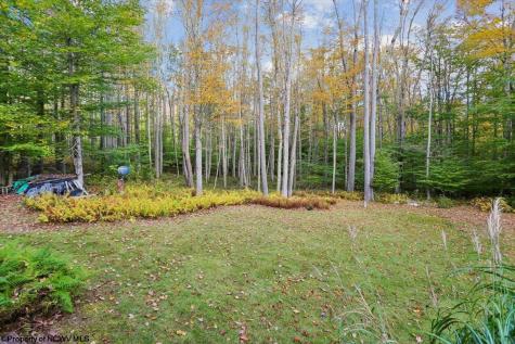 195 Bobcat Road Davis WV 26260