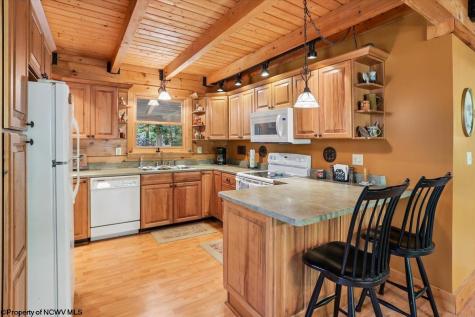 195 Bobcat Road Davis WV 26260
