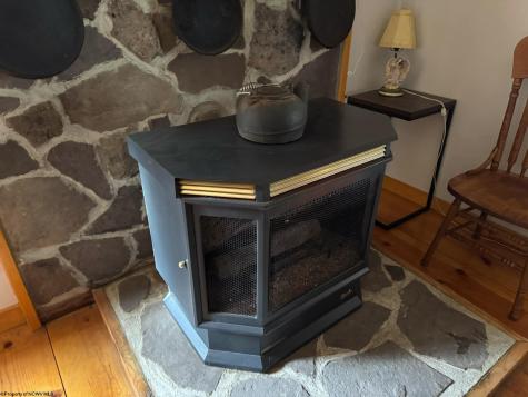 38 Black Bear Lane Dryfork WV 26263