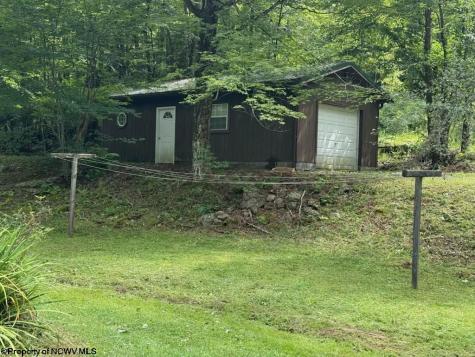 38 Black Bear Lane Dryfork WV 26263