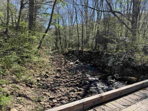 38 Black Bear Lane Dryfork WV 26263