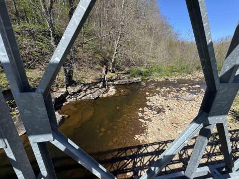 38 Black Bear Lane Dryfork WV 26263