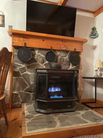 38 Black Bear Lane Dryfork WV 26263