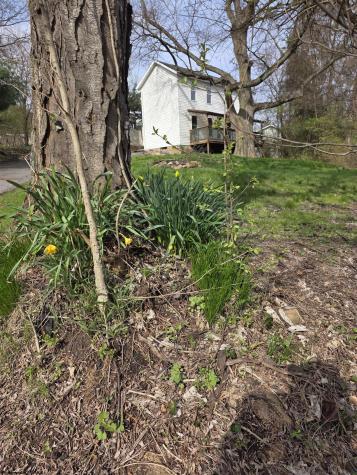 1326 Montrose Avenue Morgantown WV 26505