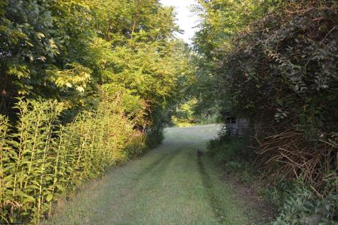 1783 Abrams Run Road Walkersville WV 26447