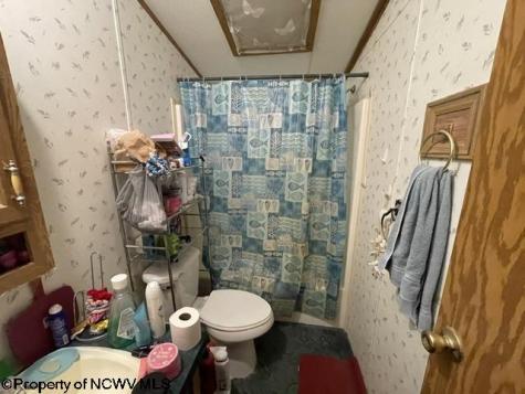 1307 Ruth Farm Road Bruceton Mills WV 26525