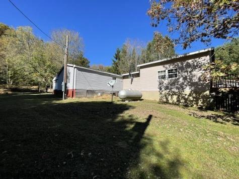 1307 Ruth Farm Road Bruceton Mills WV 26525