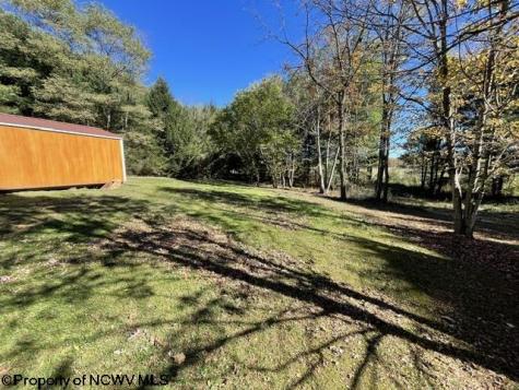1307 Ruth Farm Road Bruceton Mills WV 26525