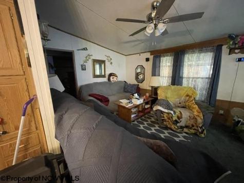 1307 Ruth Farm Road Bruceton Mills WV 26525