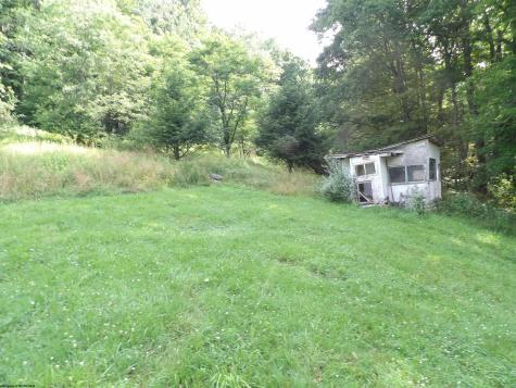 60 Marley Lane Belington WV 26250
