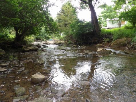 60 Marley Lane Belington WV 26250