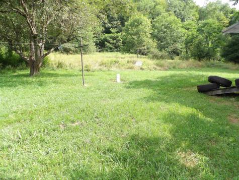 60 Marley Lane Belington WV 26250