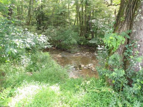 60 Marley Lane Belington WV 26250