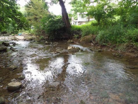 60 Marley Lane Belington WV 26250