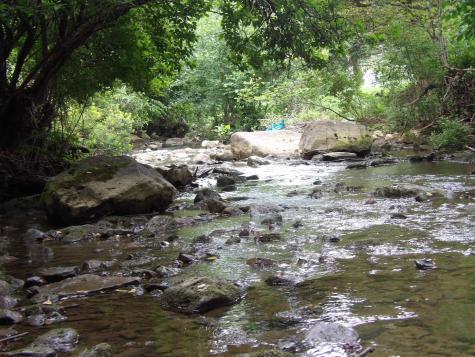 60 Marley Lane Belington WV 26250