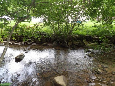 60 Marley Lane Belington WV 26250