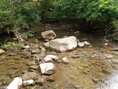 60 Marley Lane Belington WV 26250