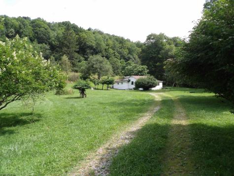 60 Marley Lane Belington WV 26250