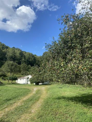 60 Marley Lane Belington WV 26250