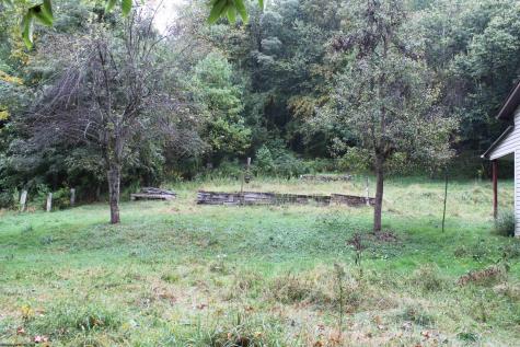 233 Kingfisher Road Webster Springs WV 26288