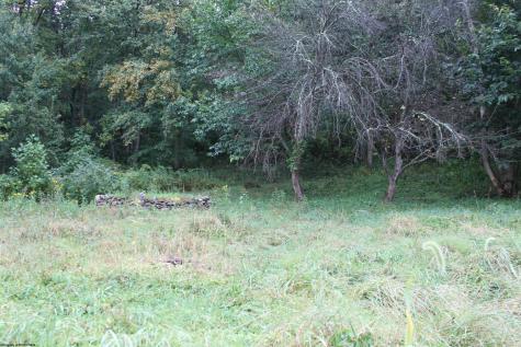 233 Kingfisher Road Webster Springs WV 26288