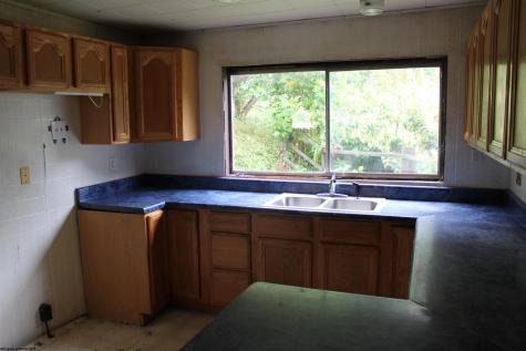 233 Kingfisher Road Webster Springs WV 26288