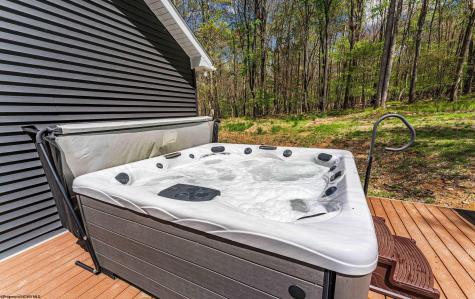 781 N Branch Hollow Bruceton Mills WV 26525
